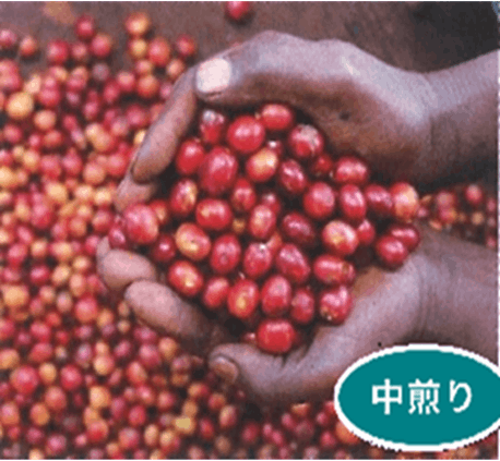 【コーヒー生豆】モカ シダモ エチオピア　10kg　 ※送料無料！ coffee_012_1kg-00.jpg