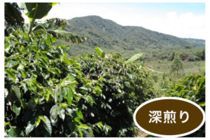 ����ɥͥ����֥��������饤�Ρץޥ�ǥ��200g  (������)