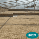 ������ӥ��֥ѥ쥹�ƥ��ʡ�200g ���������