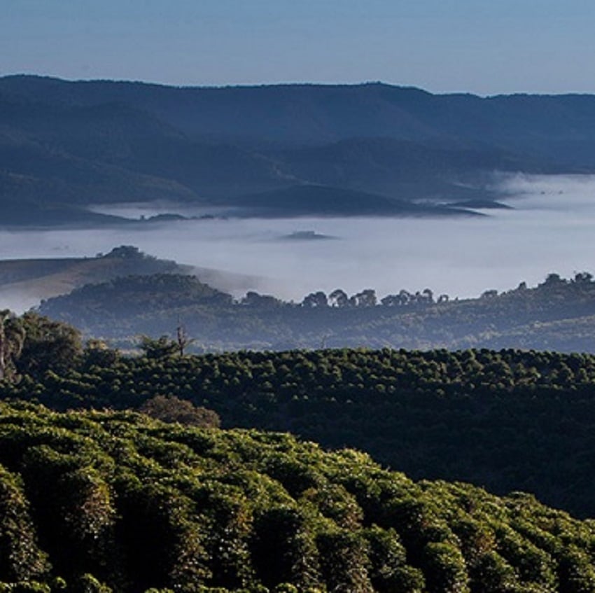 ֥饸롡£ӣãǧ Taste of Harvest ֥ƥȡƦ1