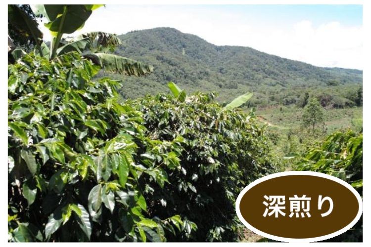 ����ɥͥ����֥��������饤�Ρץޥ�ǥ��100g  (������)