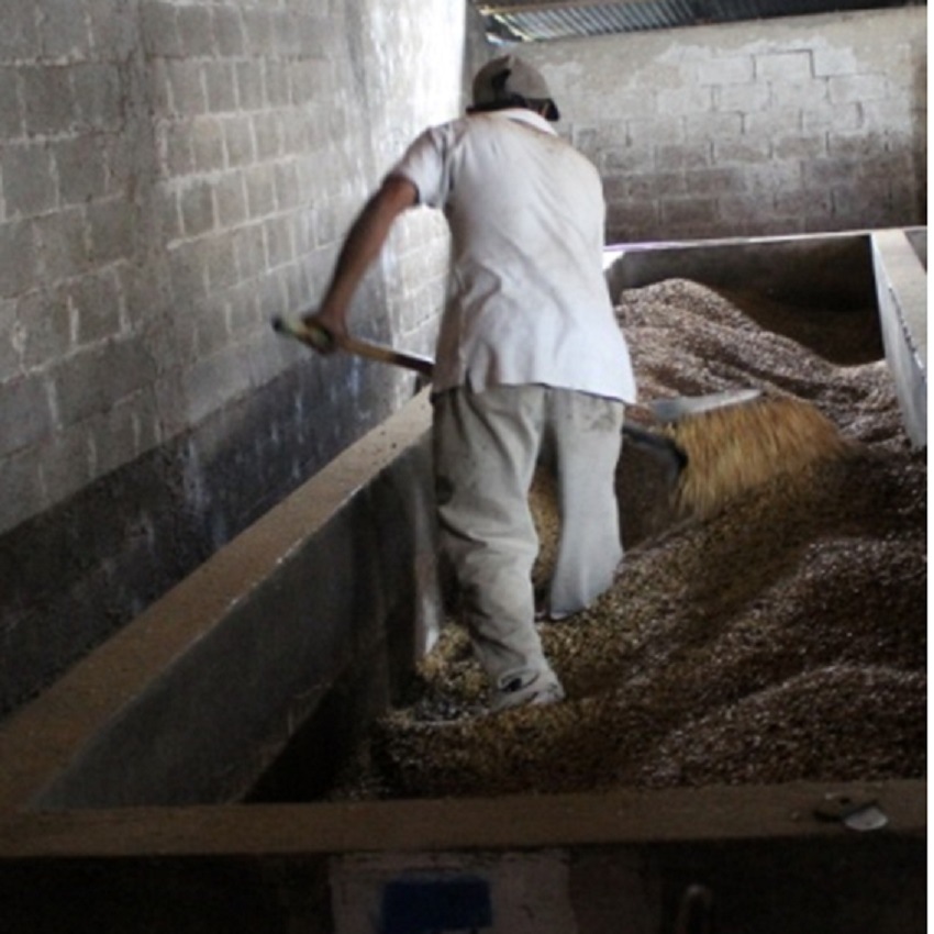 ƥޥ顡ϥˡҡ֥Х϶襵󡦥ꥹȥХ200g  ()