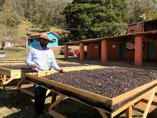 �֥饸�롡�£ӣã� ǧ�� Taste of Harvest  �֥ե������ �ѥå�������200g ���������