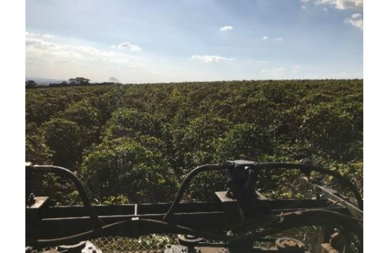 ֥饸֥ƥ쥰졡ʥӥå With ȡ200g  ()