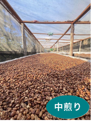 COE ���륵��Хɥ�֥��롦�ݥ�ƥ������ץѥ��ޥ顡100g  (������)