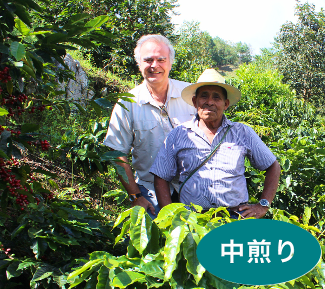 �����ƥޥ�֥��Х��϶襵�󡦥��ꥹ�ȥХ�ץϥˡ��ץ�������200g  (������)