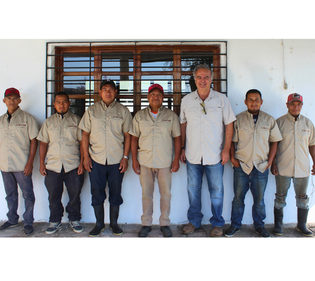 �����ƥޥ�֥��Х��϶襵�󡦥��ꥹ�ȥХ�ץϥˡ��ץ�������100g  (������)