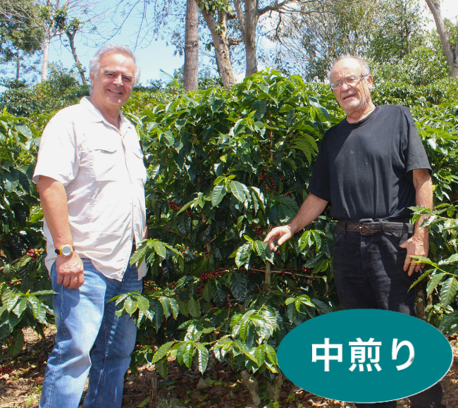 �����ƥޥ�֥��Х��϶襵�󡦥��ꥹ�ȥХ�ץʥ����롡100g  (������)