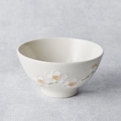 �������� STUDIO ECCO������ ������