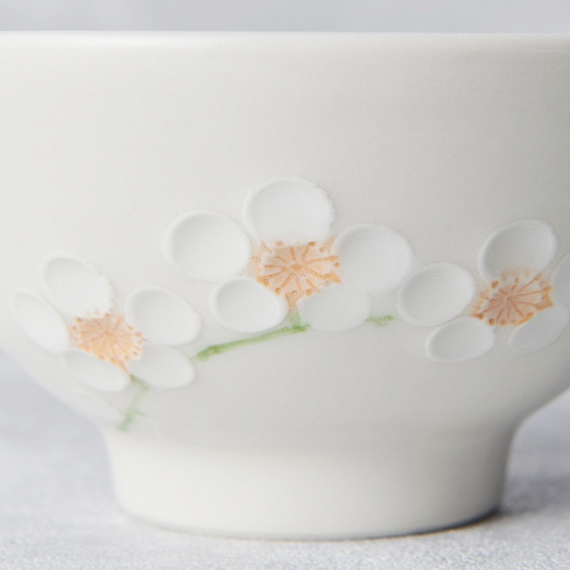 �������� STUDIO ECCO������ ������