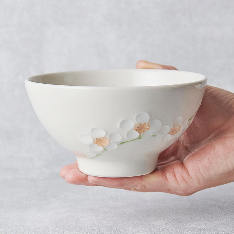 �������� STUDIO ECCO������ ������