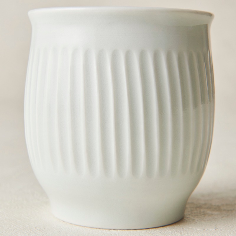 �������� �Ҥ����ҡ�﮼� üȿ�����ݤ�