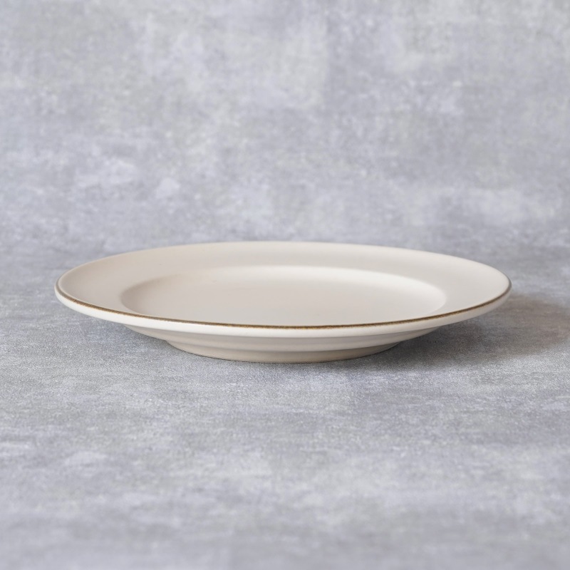  STUDIO ECCOۥۥ磻 17cmץ졼