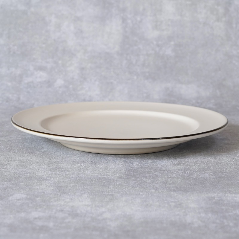  STUDIO ECCOۥۥ磻 21cmץ졼