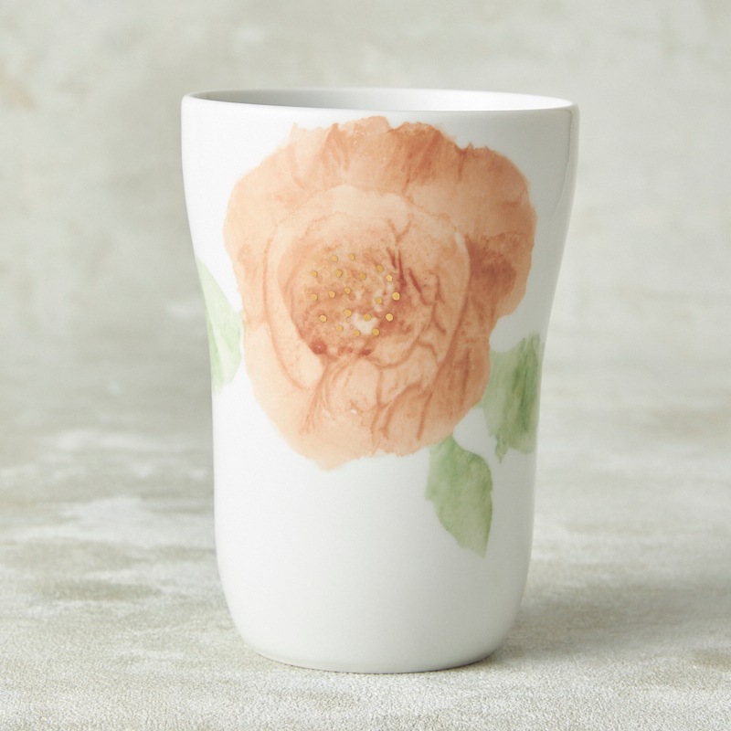 �������� ���ҡۥ���֥顼 ���󥰥�å��������