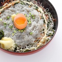 生しらす冷凍 | しらす問屋とびっちょ｜オンラインショップ