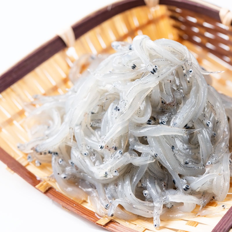 生しらす冷凍 | しらす問屋とびっちょ｜オンラインショップ