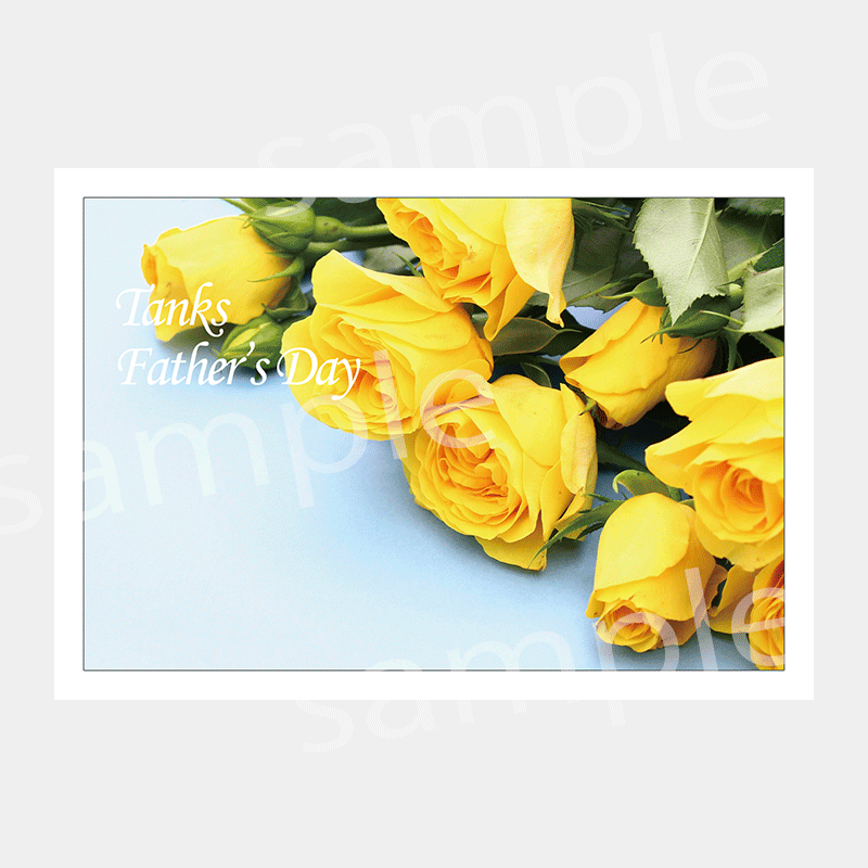 ��å����������ɡ������003��