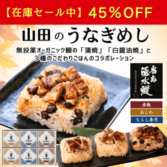 山田のうなぎめし1箱 (6食入) ｜霧島湧水鰻使用！｜電子レンジで簡単調理 