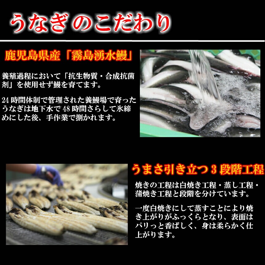 ̸��ͯ�屷 ���ʤ�������6�ĥ��åȡ��Żҥ�󥸤���2ʬ�δ�ñĴ���� 