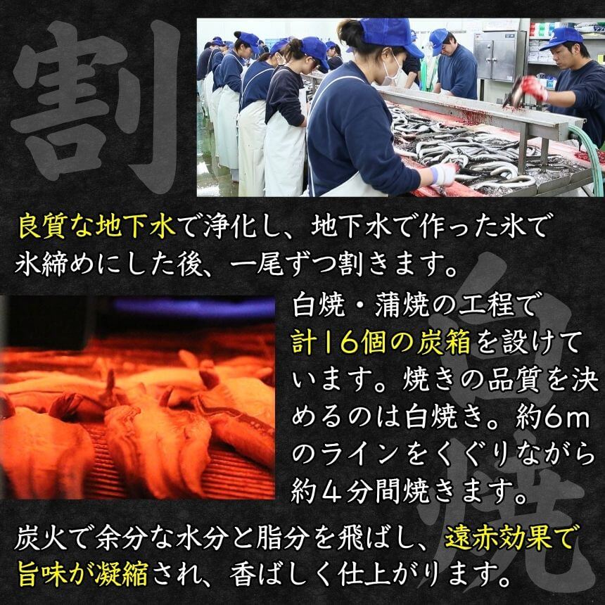 ���ĤΤ��ʽš�2�����˽����ƻ��ѡ��Żҥ�󥸤Ǵ�ñĴ���� 