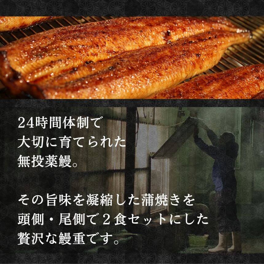 ���ĤΤ��ʽš�2�����˽����ƻ��ѡ��Żҥ�󥸤Ǵ�ñĴ���� 