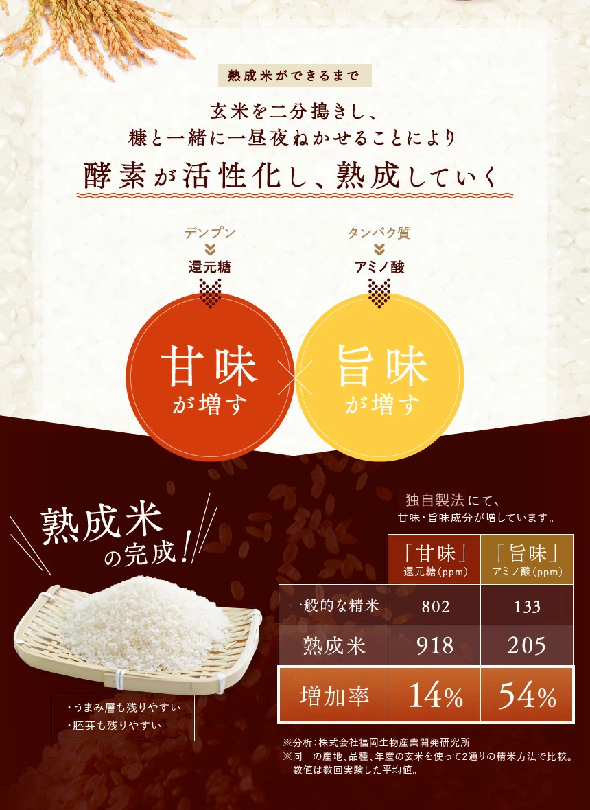 6ǯ Ĺ긩 ˤޤ 10kg(5kg2)  