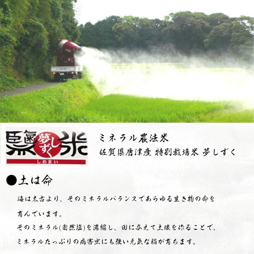 6ǯ 츩 ̺ ֱơ(ߥͥˡ)  ̴ 10kg5kg2ޡ ơô