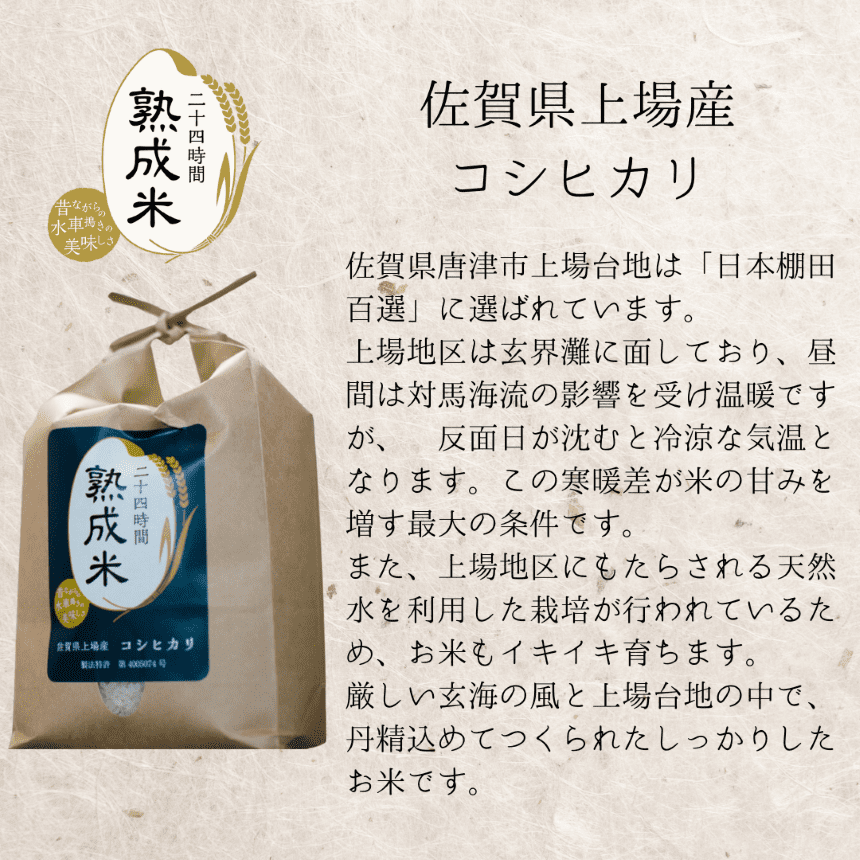 ˼ƹ 3糧å (32)900 ơڥåݥȯ 쥳ҥ γʪ 