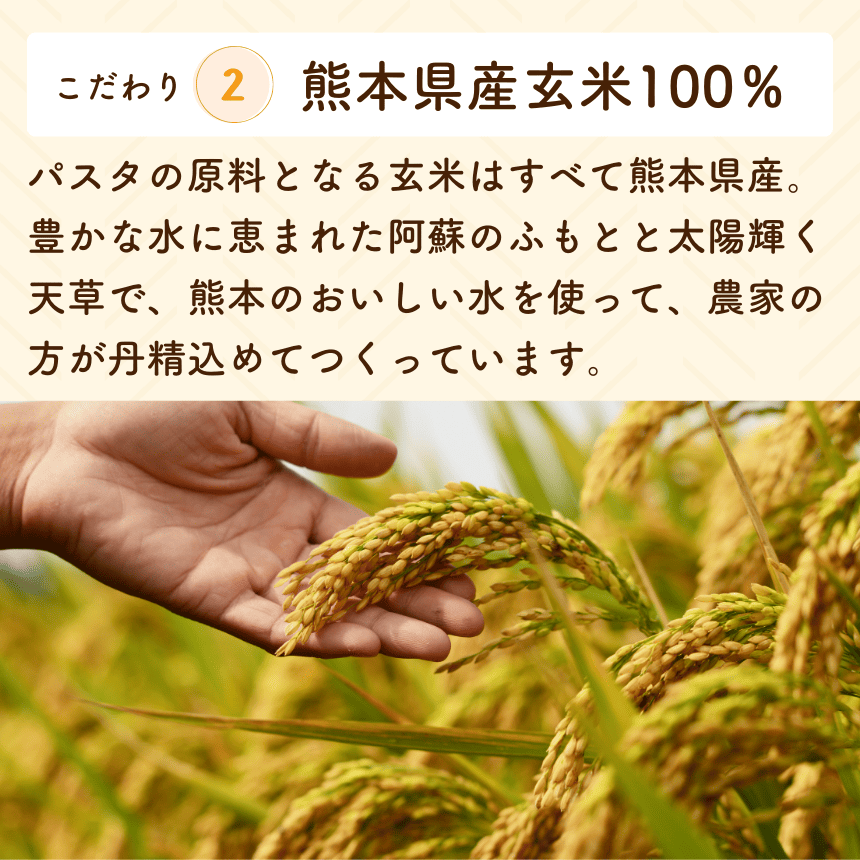 �ڥ�˥塼����ۥ���ƥ�ե꡼�θ��ƥѥ��� ��ͳ�����٤�20�����å�