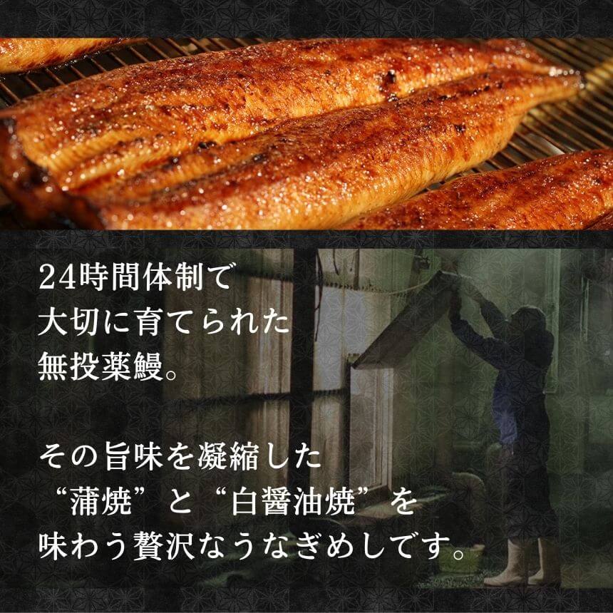 ĤΤʤᤷ1Ȣ (6) ̸ͯ屷ѡŻҥ󥸤ǴñĴ 