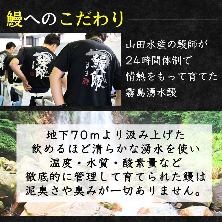 ĤΤʤᤷ1Ȣ (6) ̸ͯ屷ѡŻҥ󥸤ǴñĴ 