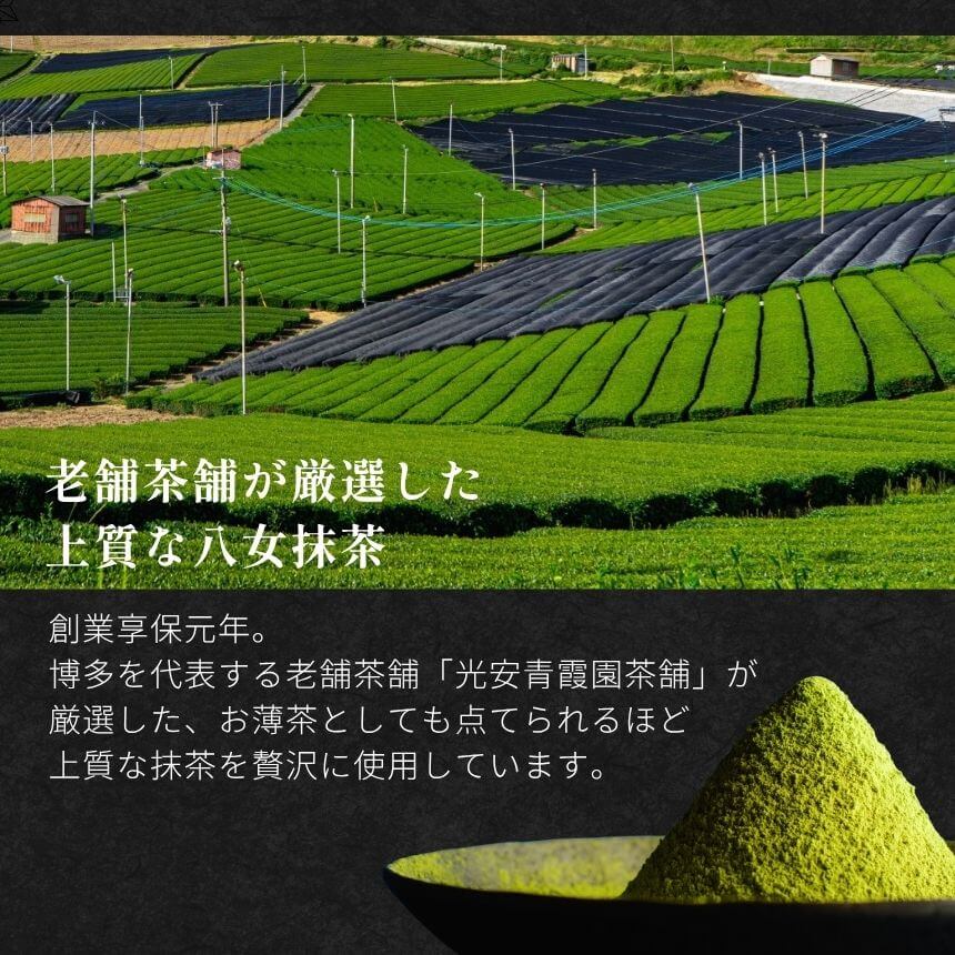 ᥷ե󥱡 åƥե꡼ʴե󥱡 