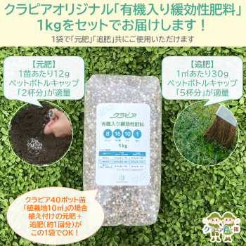 追加商品画像