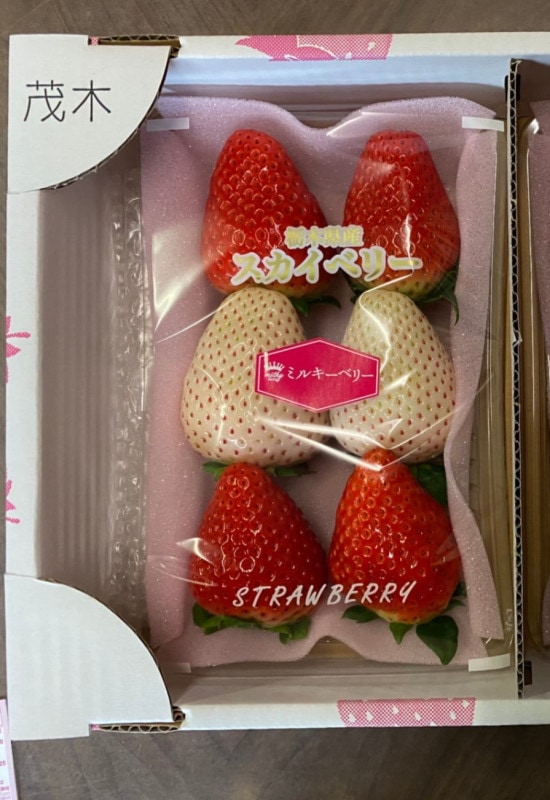 いちごページ 】ぎゅうぎゅうアレンジ2品 2つの苺のパフェ