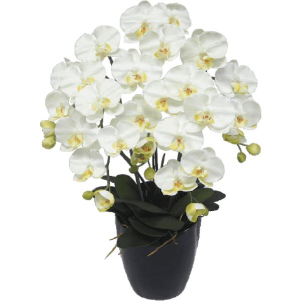 アーティフィシャルフラワー リースM 色：ホワイト | その他,花・植物