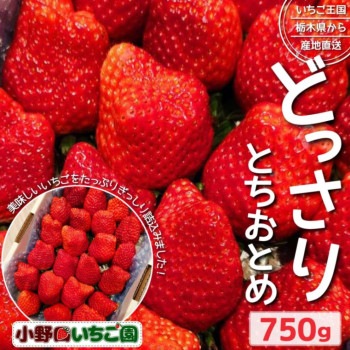 どっさり「とちおとめ」