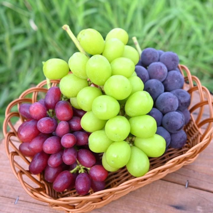 旬の葡萄おまかせ詰め合わせ2Kg