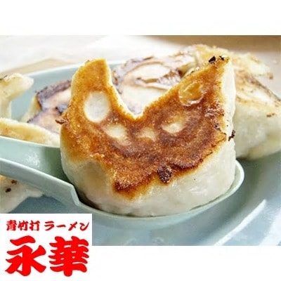 佐野餃子（大）10個入り12パック