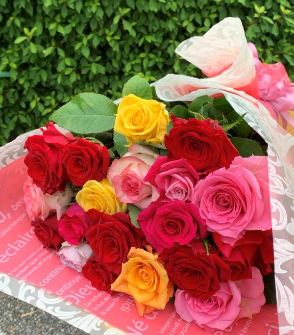 シクラメン（5号鉢） | その他,花・植物苗 | とちぎもの