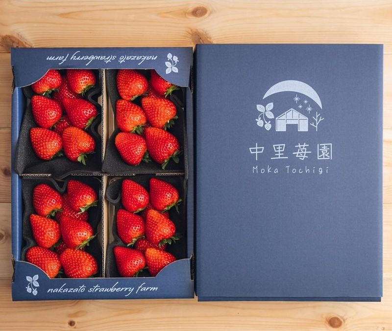 鈴木ファームのとちあいかデラックス（2パック入り） | とちぎの食