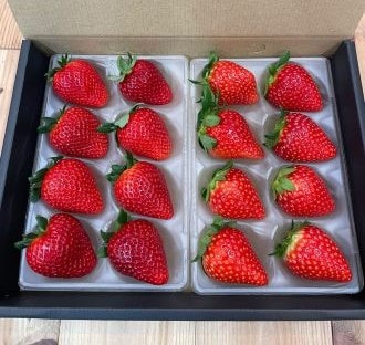 中里苺園　ギフトBOX（中）食べ比べ２種