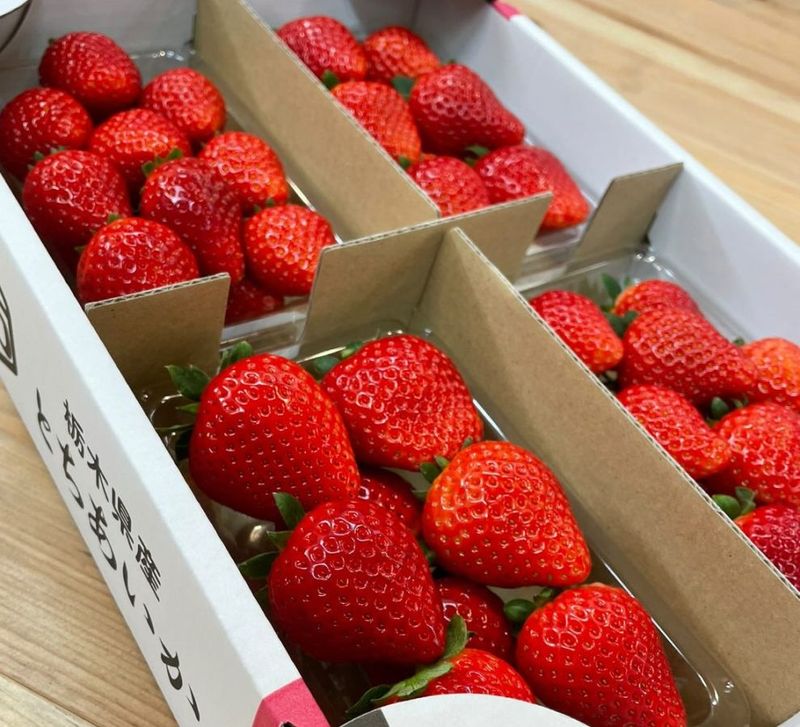 いちご ⑩✖︎2 イチゴ 37 苺(2) イチゴ 37 いちご☆ いちご 苺 Buy ZX 8000