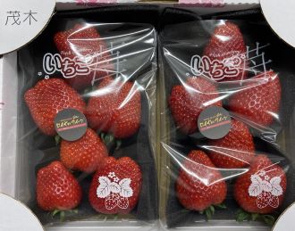 鈴木ファームのロイヤルクイーンデラックス（2パック入り）