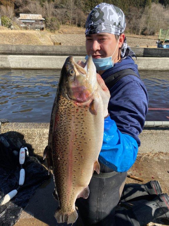 プレミアムヤシオマス丸1尾