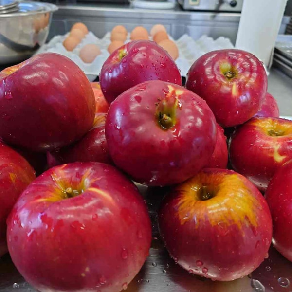 無添加アイスクリーム