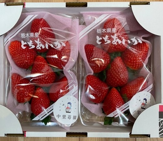 中里苺園とちあいか（平２P）