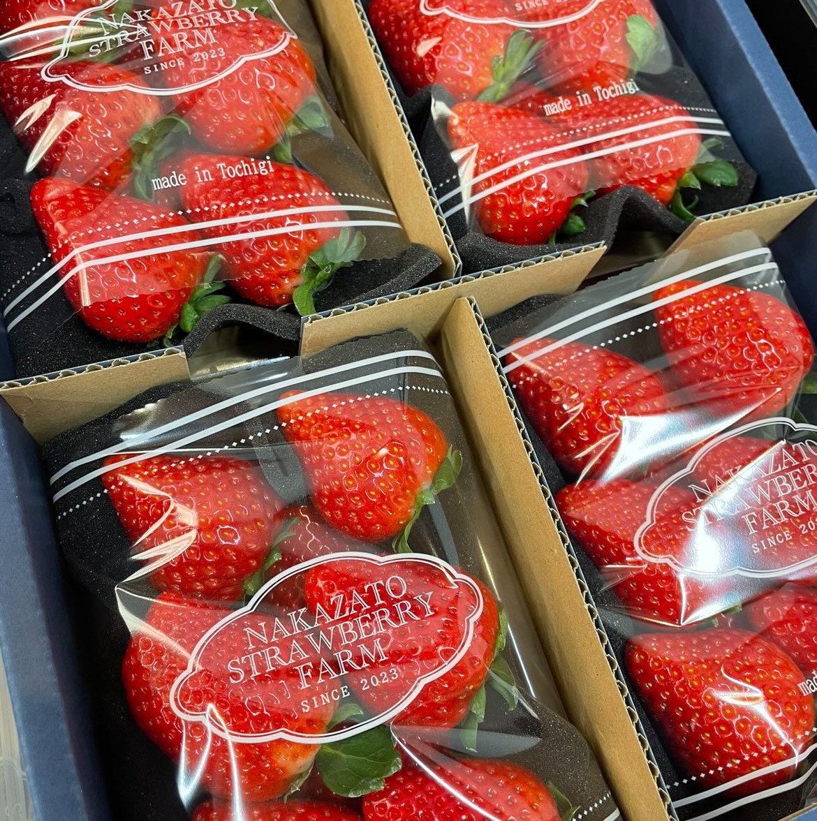中里苺園 ギフトBOX （大）とちあいか | とちぎの食から探す,いちご