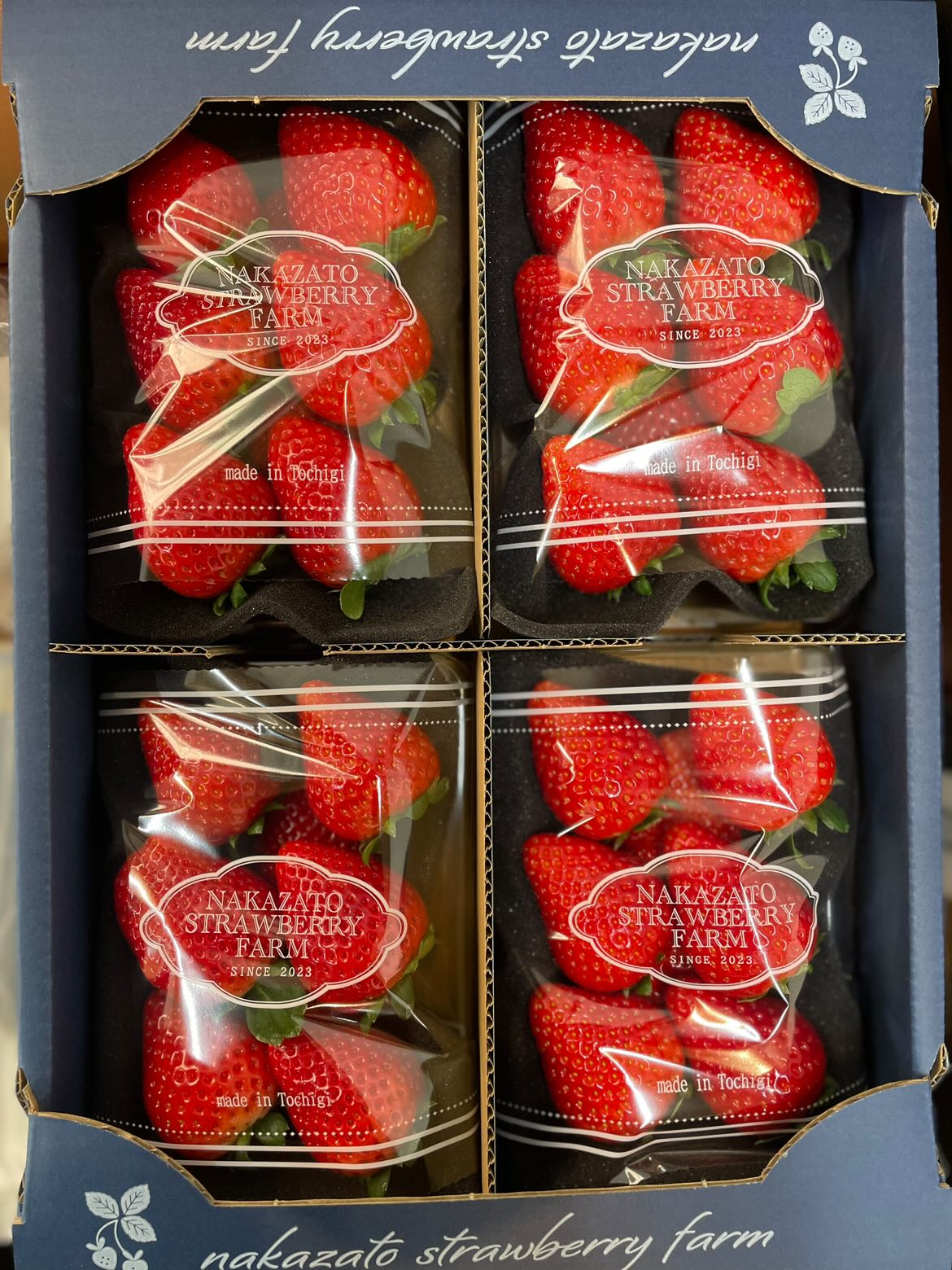 中里苺園 ギフトBOX （大）とちあいか | とちぎの食から探す,いちご