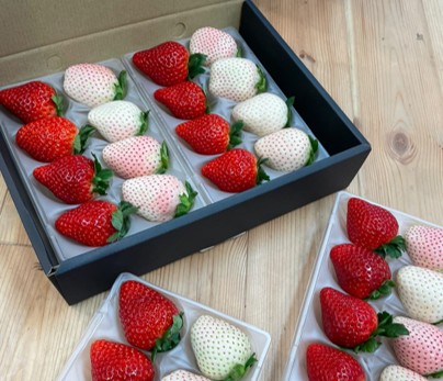 中里苺園　ギフトBOX （中）紅白